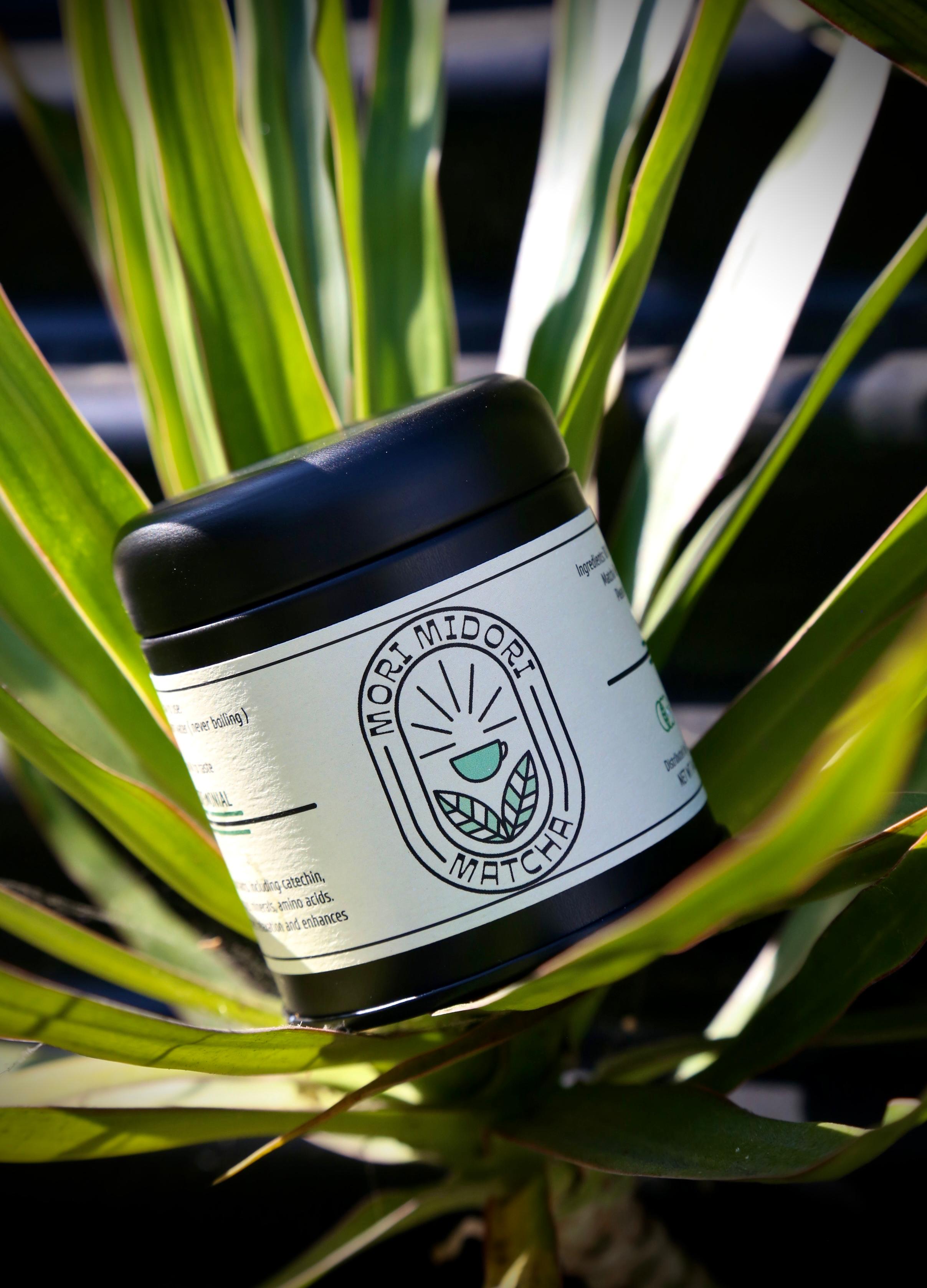 Black Dog Coffee Roasters