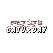 Every Day Is Caturday Sticker