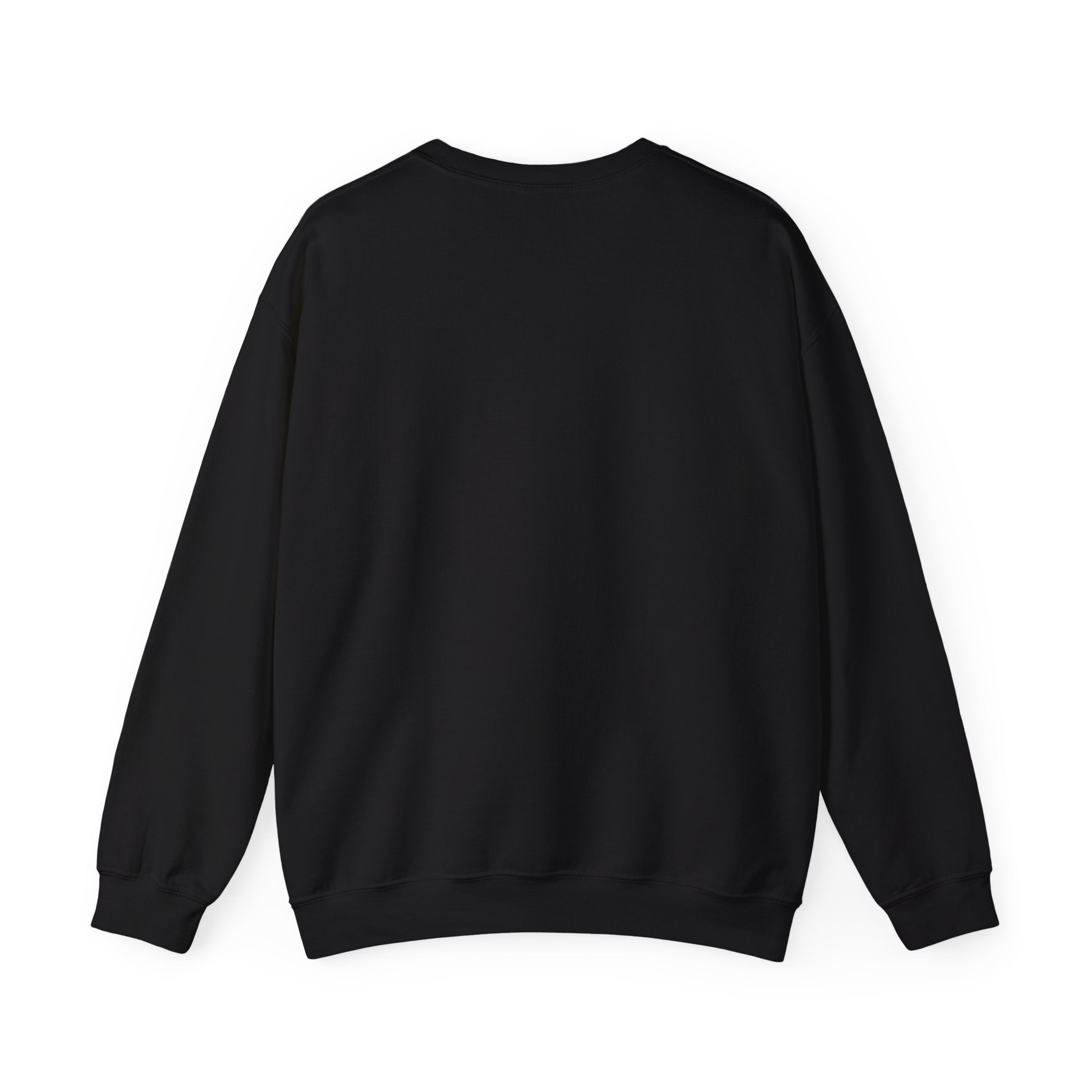 Benito Exclusive | Trap Bunny Heavyweight Crewneck Sweater | 4 Colors