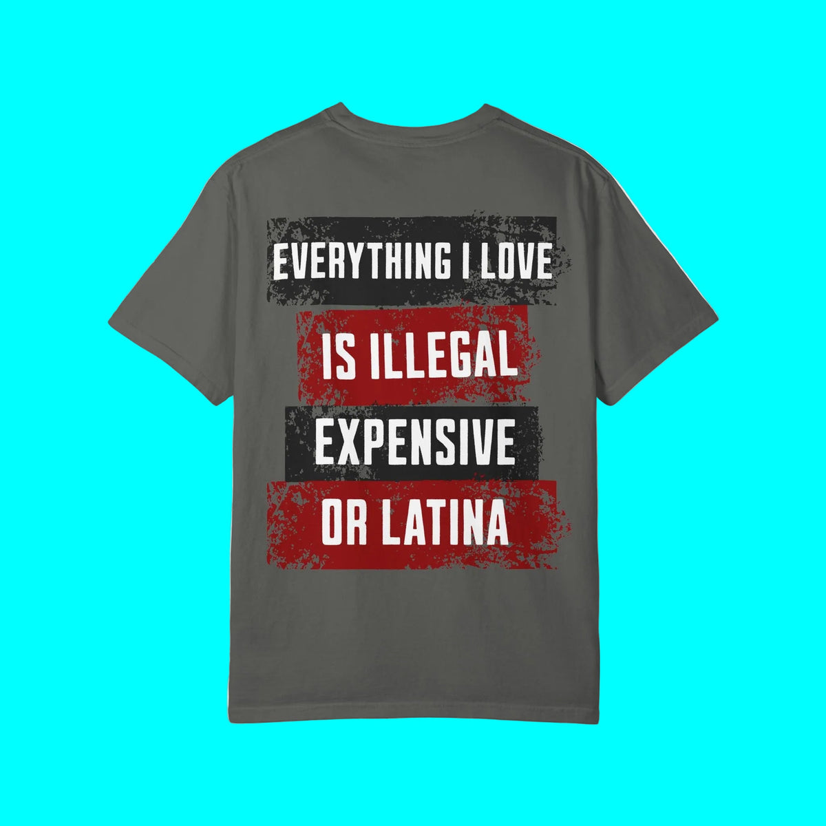 Everything I Love is Illegal, Expensive, or Latina T-shirt (BACK PRINT ONLY) | Latino Funny Viral Tees | 3 Colors