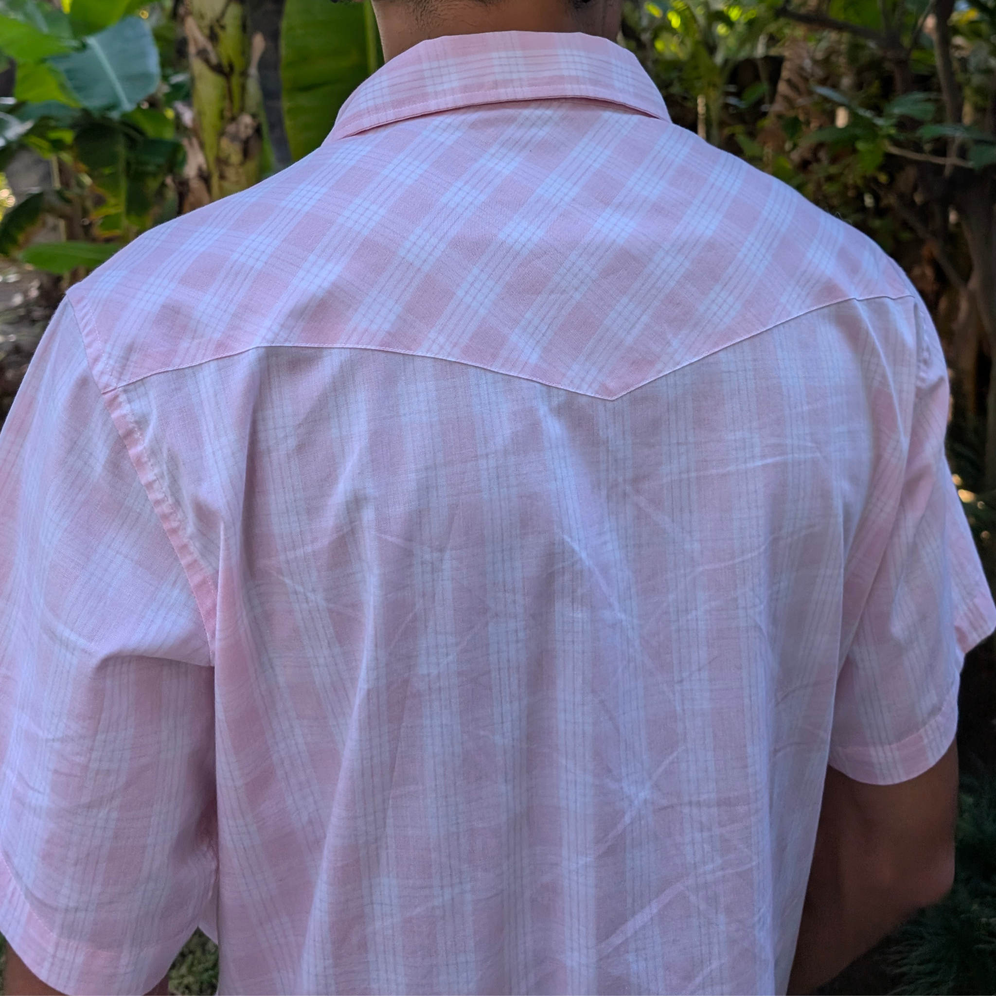 Pink Palaka