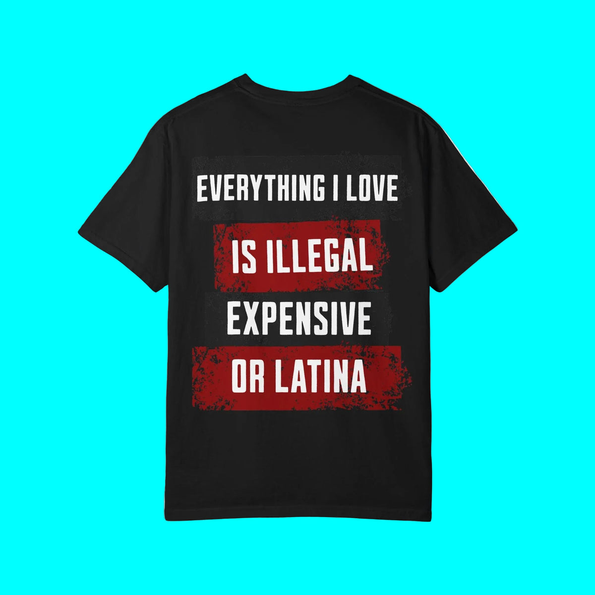 Everything I Love is Illegal, Expensive, or Latina T-shirt (BACK PRINT ONLY) | Latino Funny Viral Tees | 3 Colors