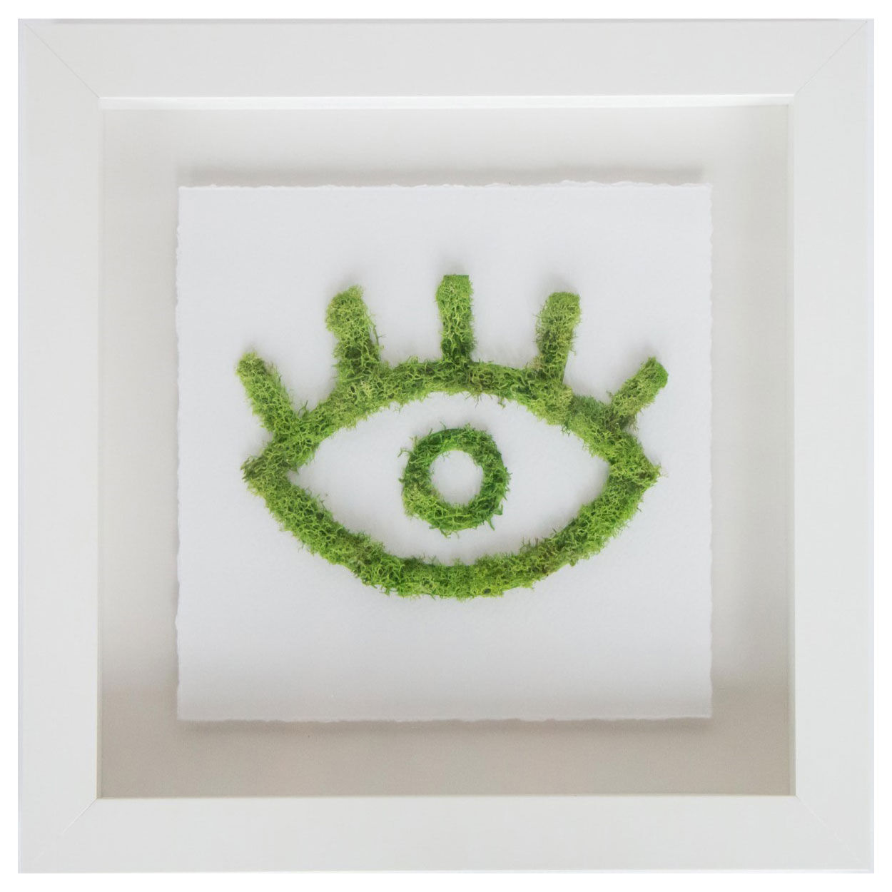 Moss I See Nature I