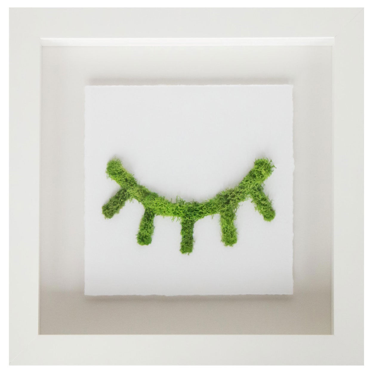 Moss Wink I