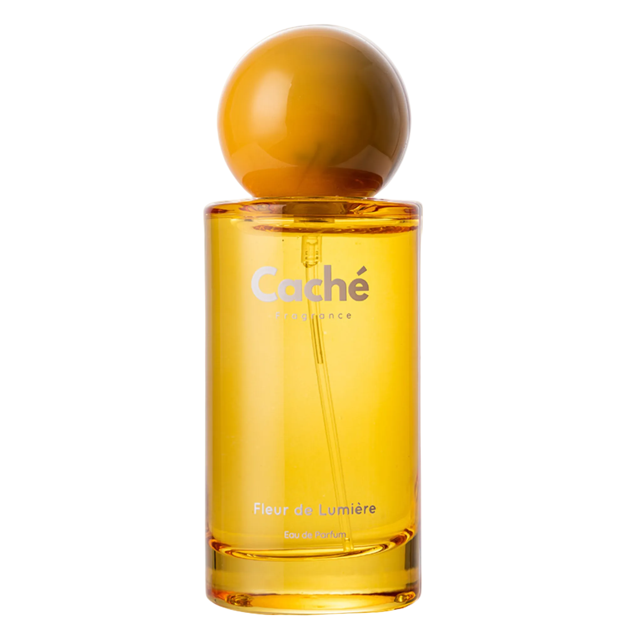 Caché - Fleur de Lumière