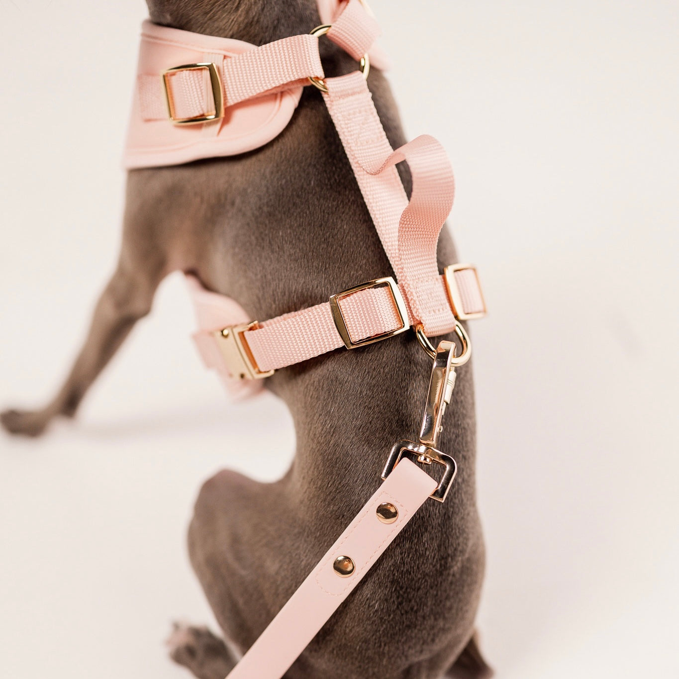 The Essentials Walk Set - Rose