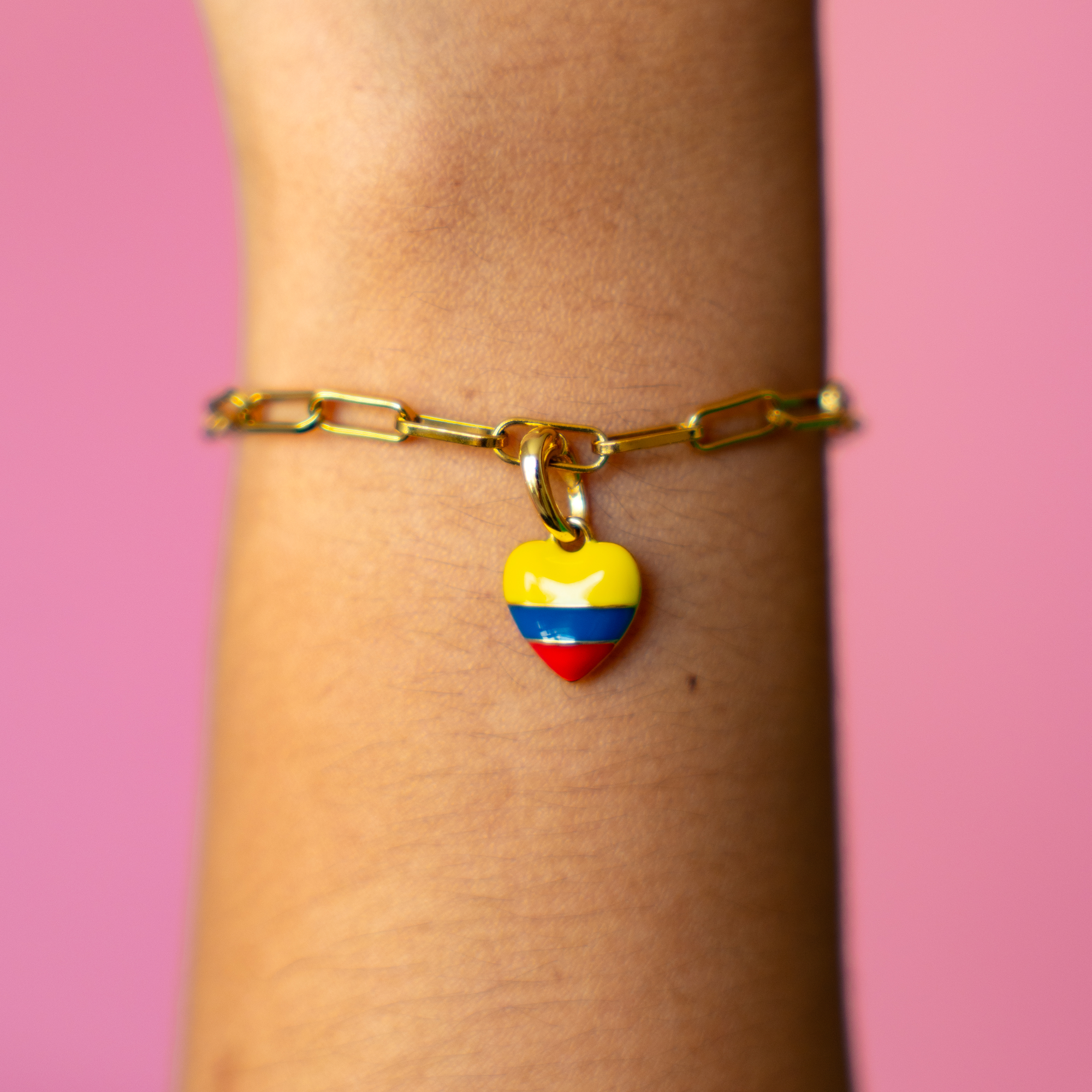 Chiva Charm - Colombian Charms Collection