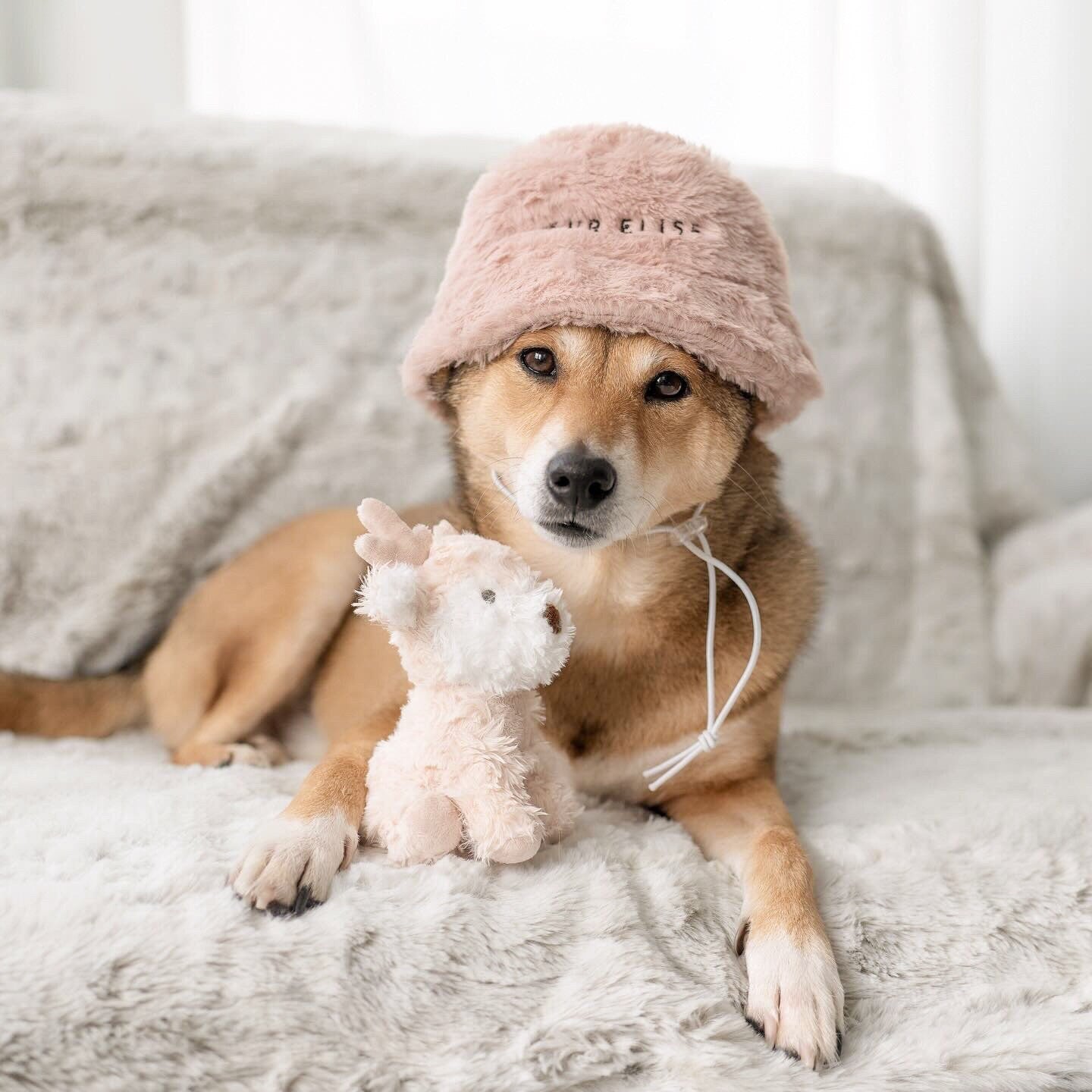 Furi Pet Hat - Sand