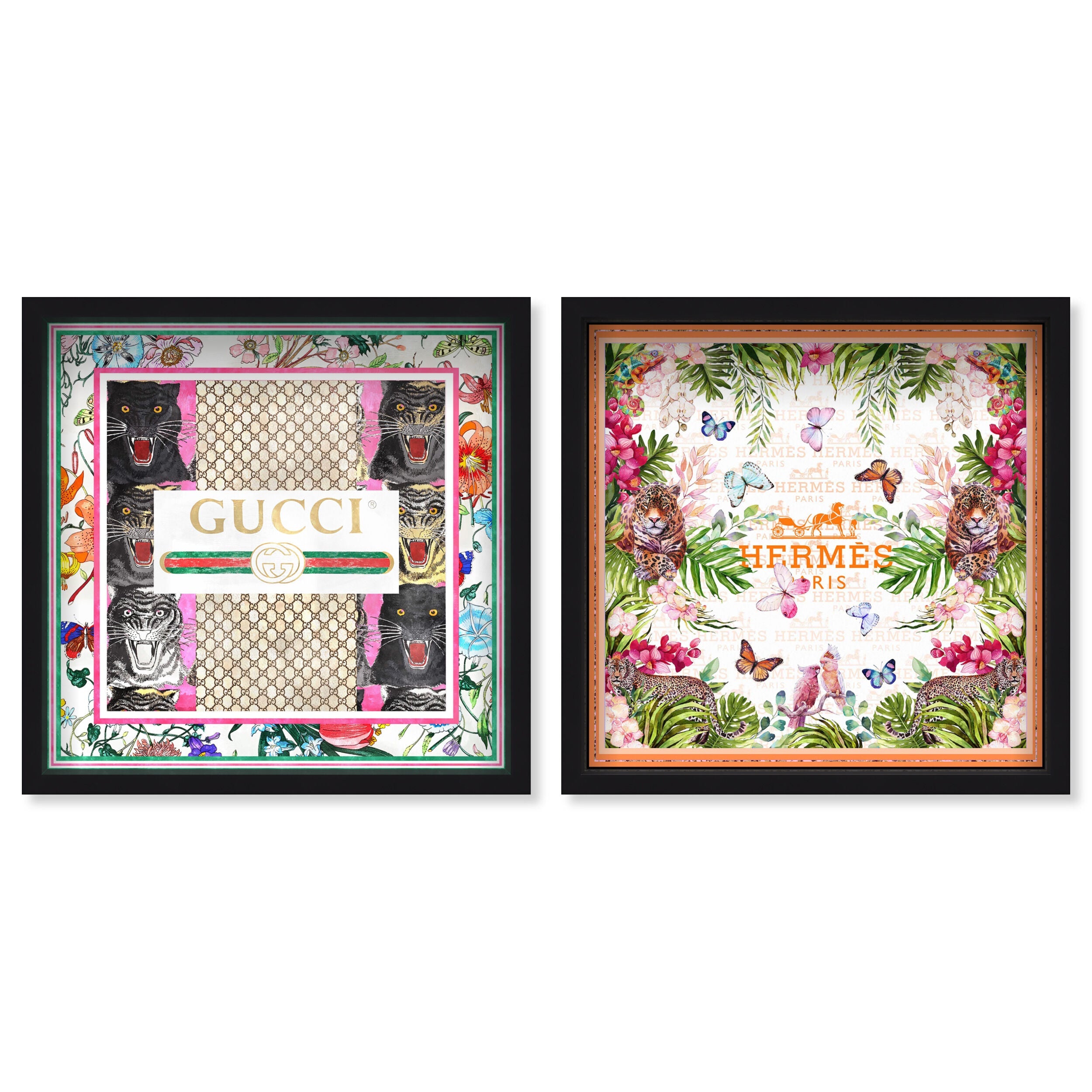 Grand Jungle Fashion SET - Displayed in a shadowbox