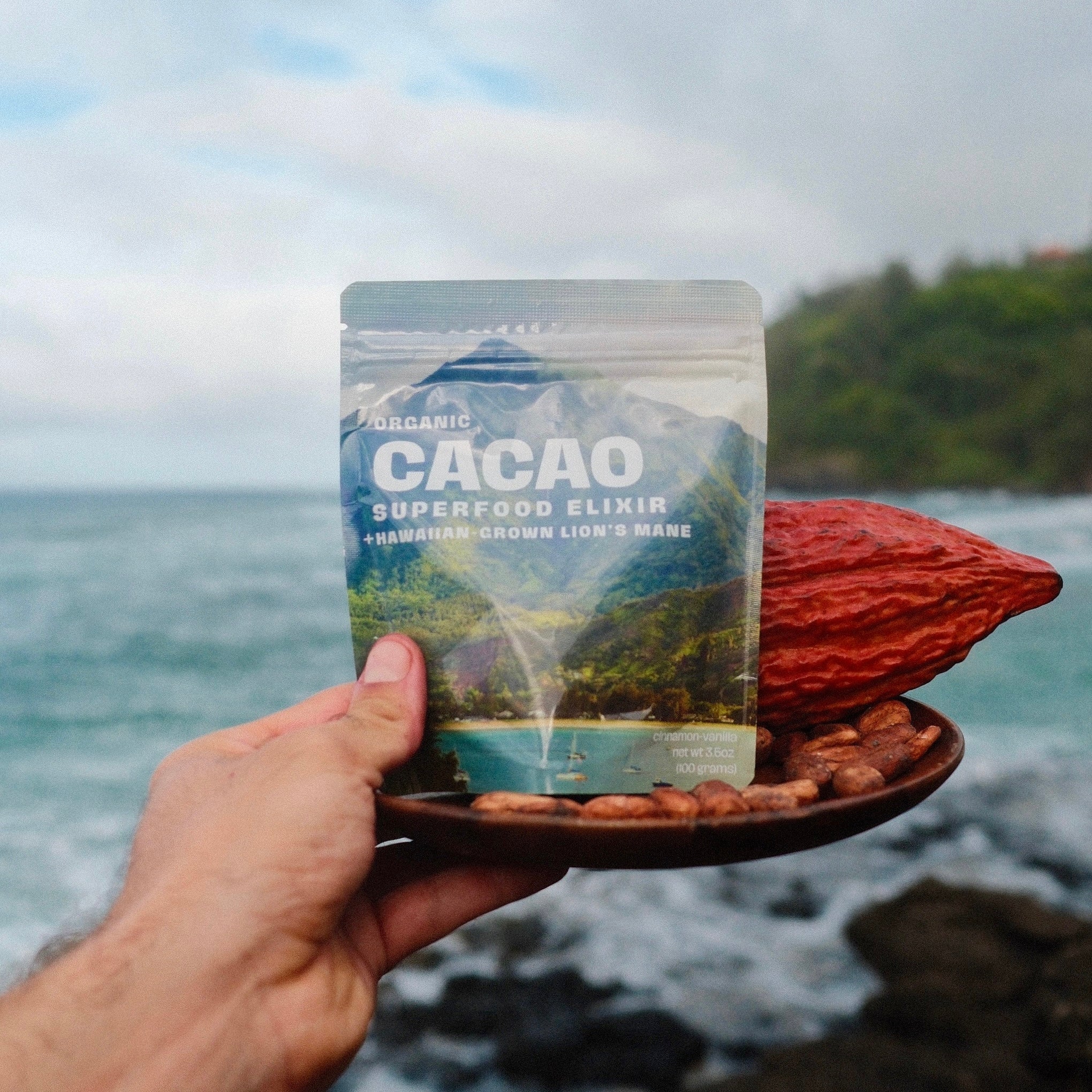 Lion’s Mane Cacao (energy)