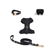 The Essentials Walk Set - Noir