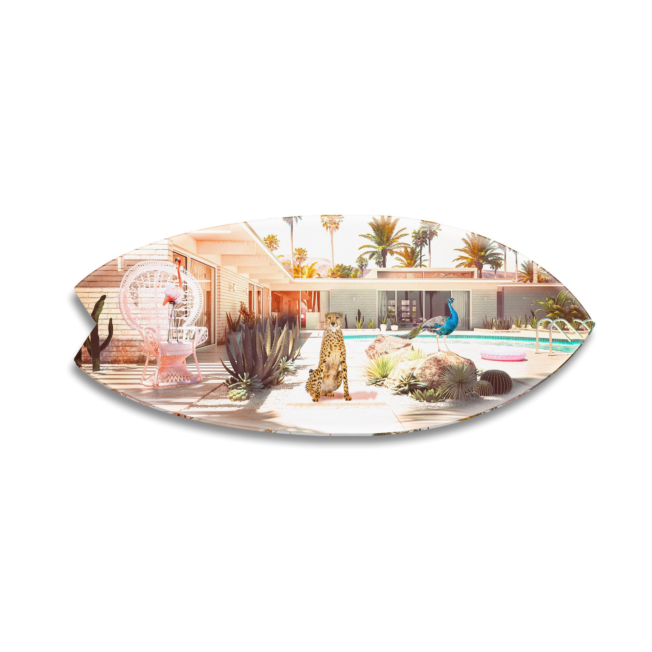 Palm Springs Crew Skimboard