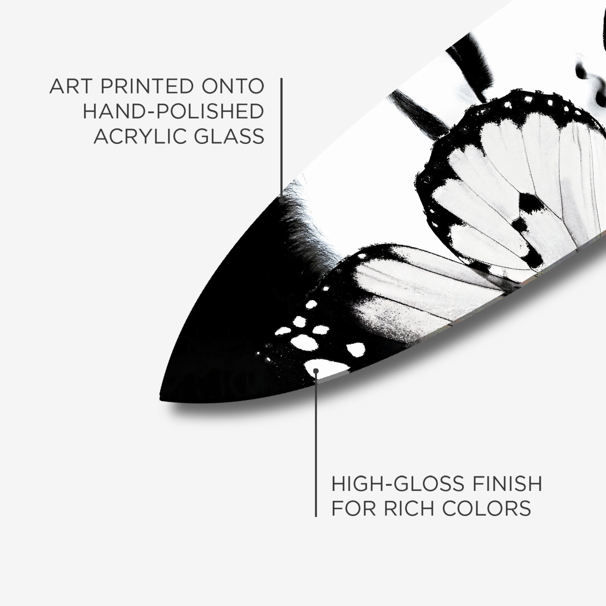 Dutchess of The Butterflies Surfboard