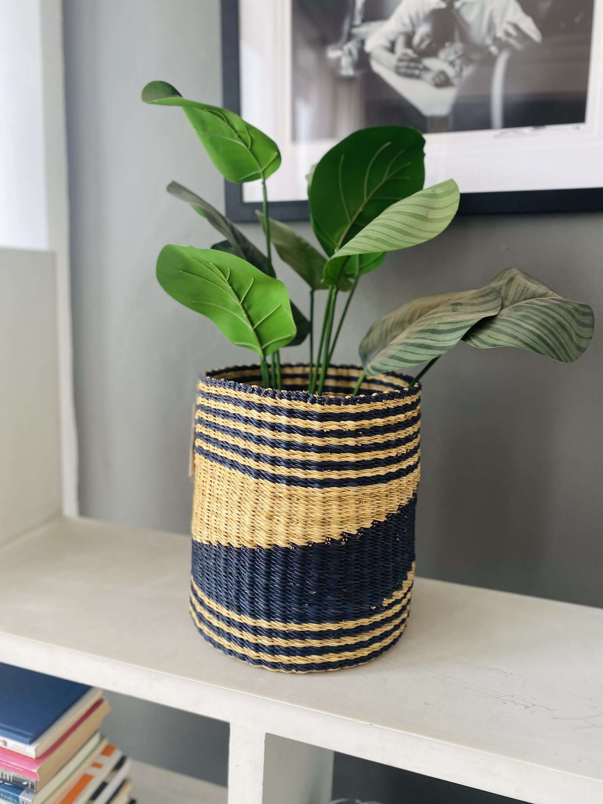 Abimbo planter