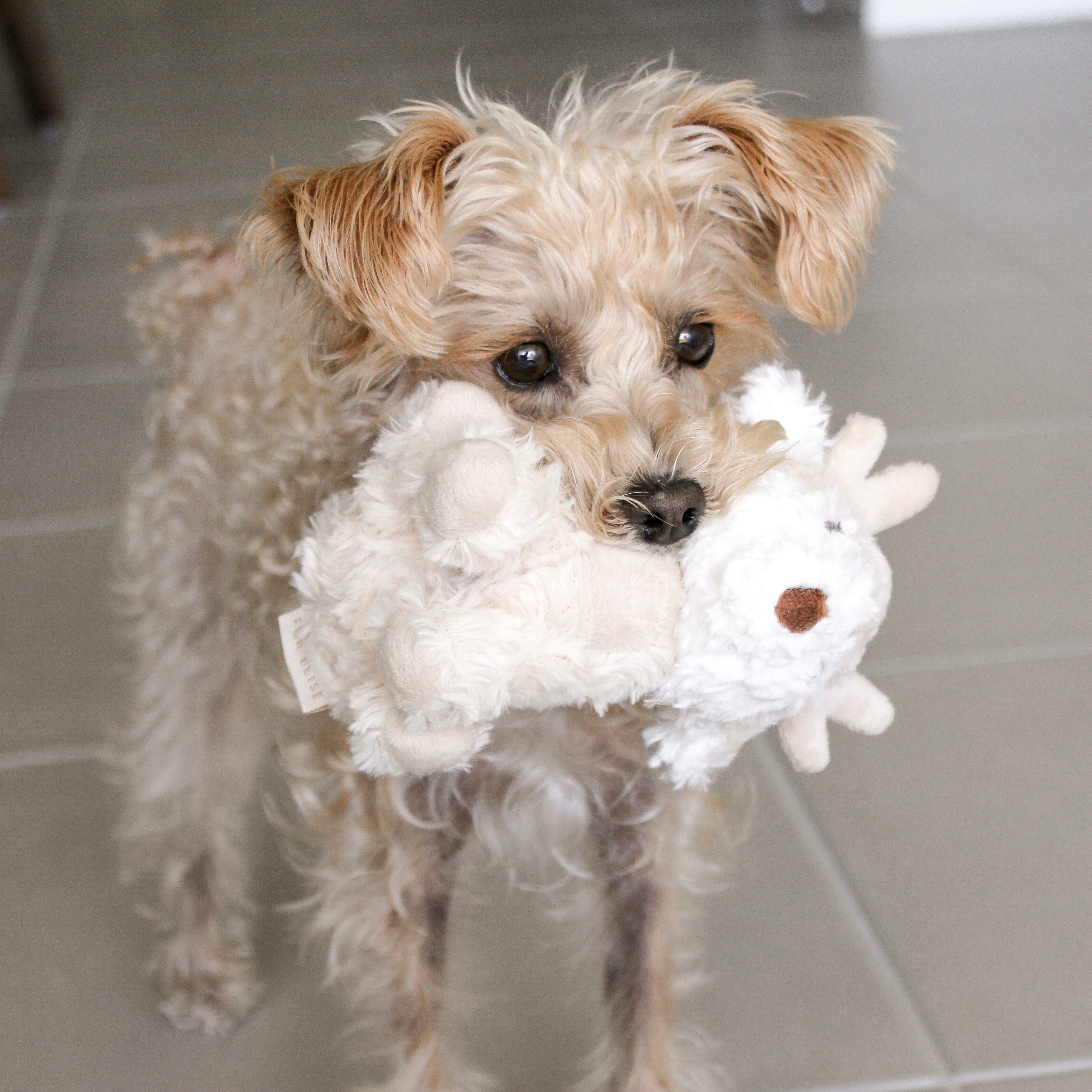 Vixi Mini Plushie