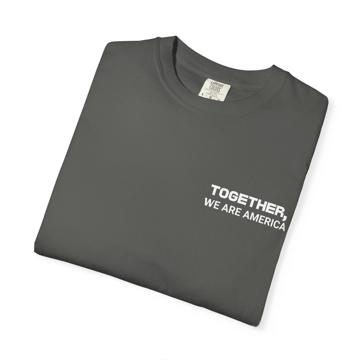 Together, We Are America T-shirt | All North, Central, & South American Flags | Unity Justice | Latino Pride Viral Tees