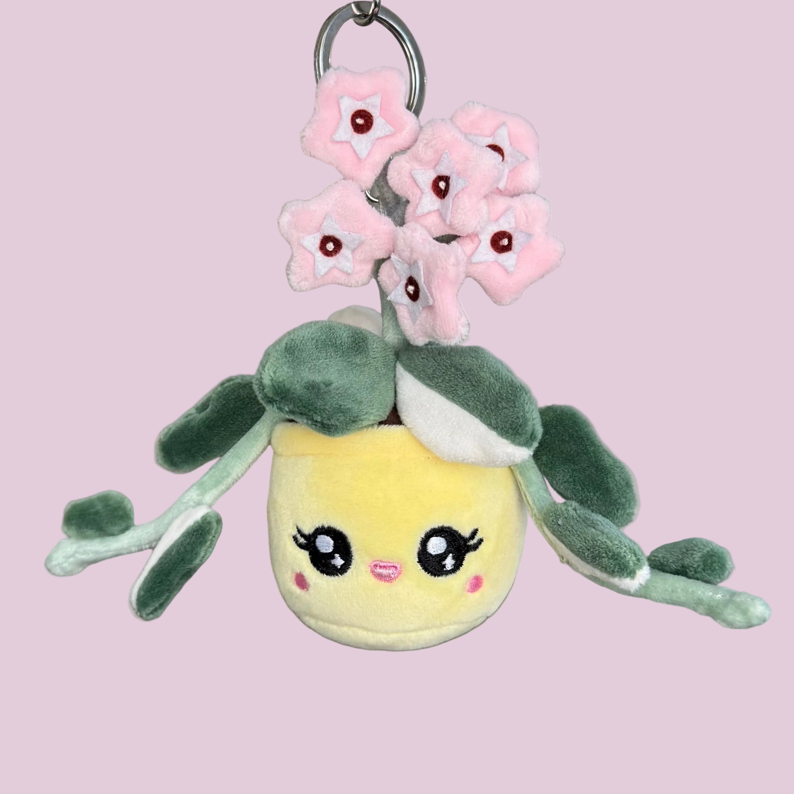 Hoya Carnosa ‘Krimson Queen’ Plush Keychain – 5″ Variegated Houseplant Bag Charm
