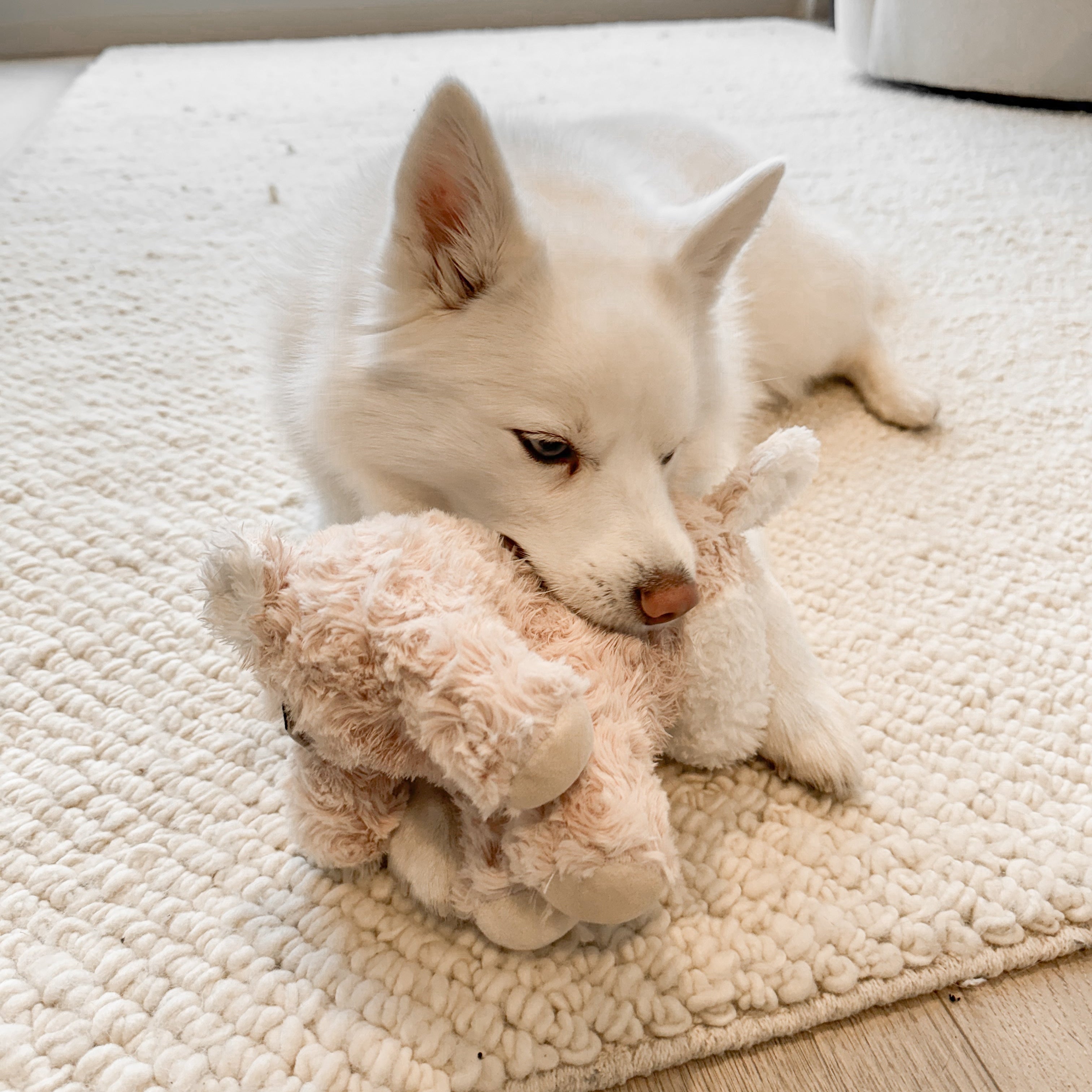 Vixi Plushie Set