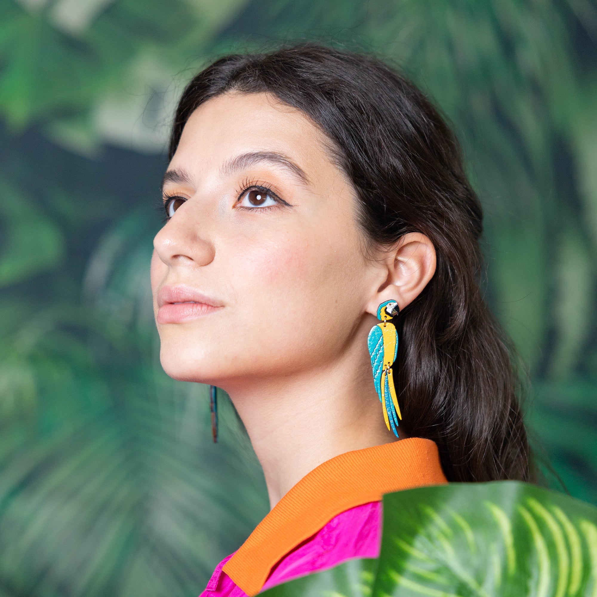 Blue Macaw Stud Dangles