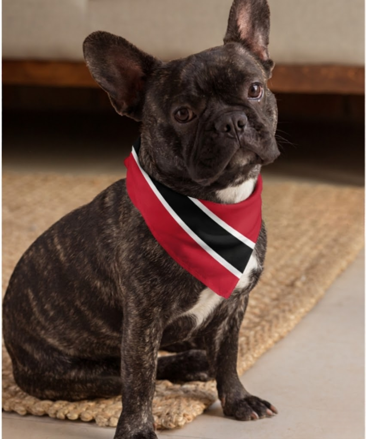 Trinidad & Tobago Flag Bandana