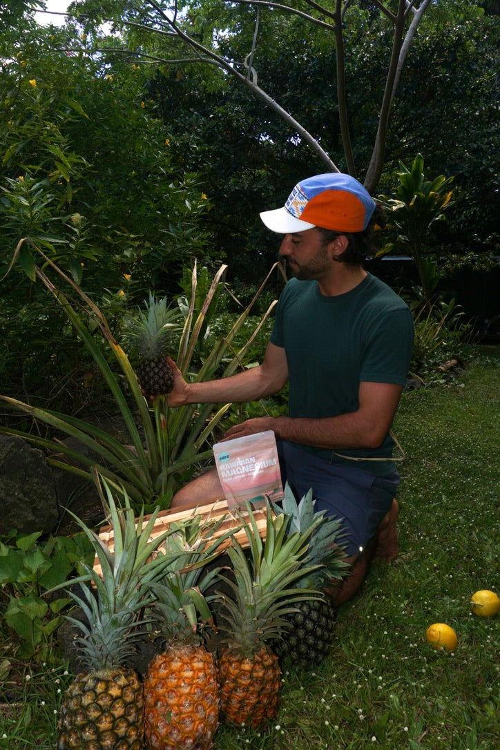 Pineapple Magnesium (sleep)