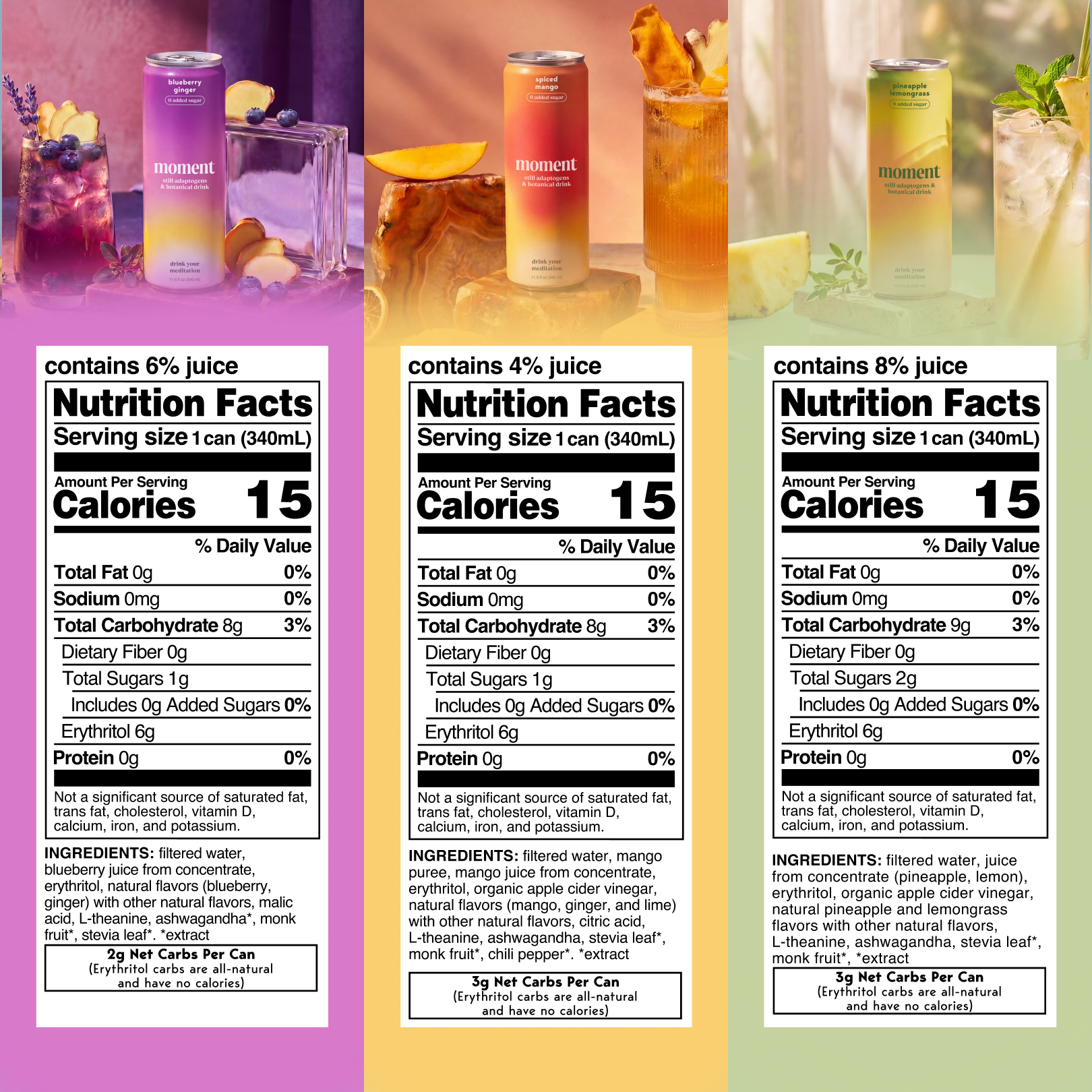 bestsellers (botanical tea | 12 pack)