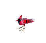 Standing Cardinal