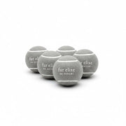 Fur Elise So Fetch! Tennis Ball Pack of 5 - Steel