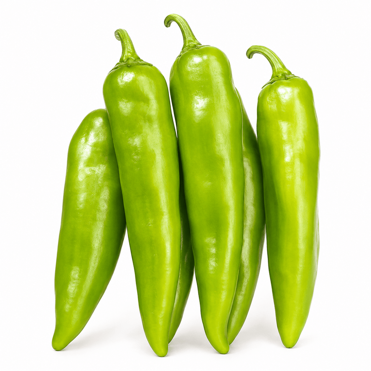 FRESH RED CHILE HARVEST OVER SEE YA IN 2026