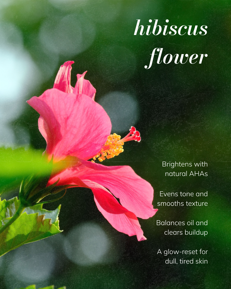 Hibiscus Ritual Trial & Travel Kit