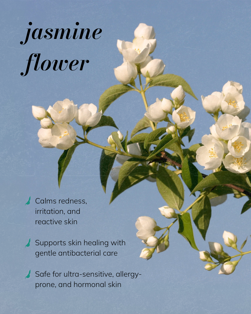 Jasmine Ritual Trial & Travel Kit