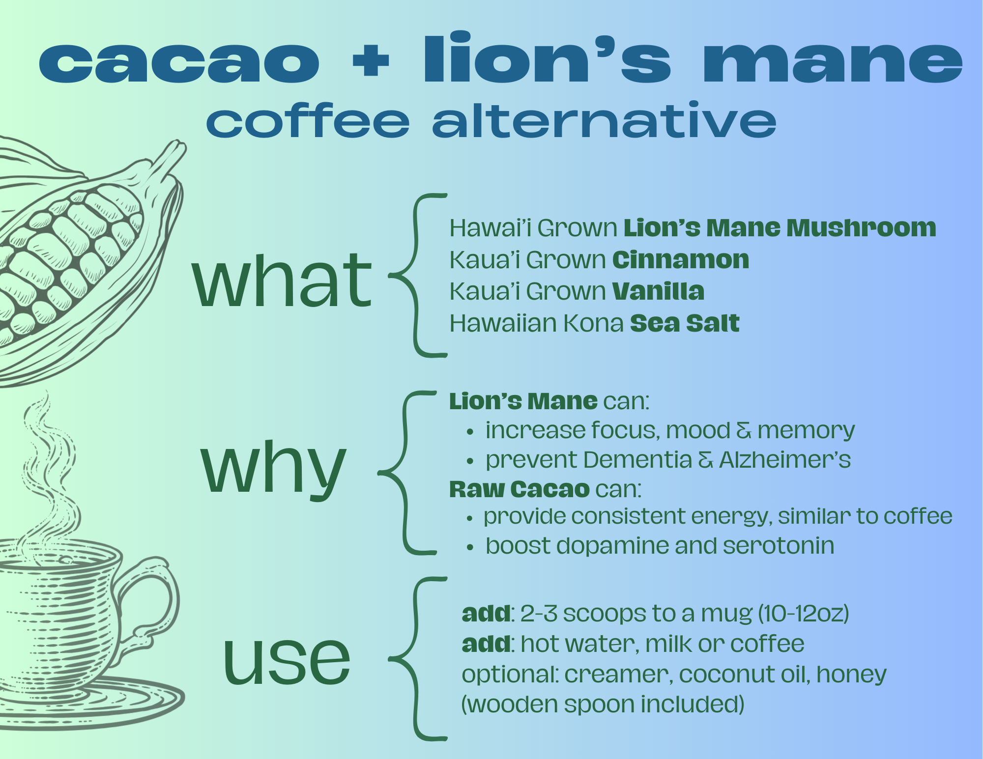 Lion’s Mane Cacao (energy)