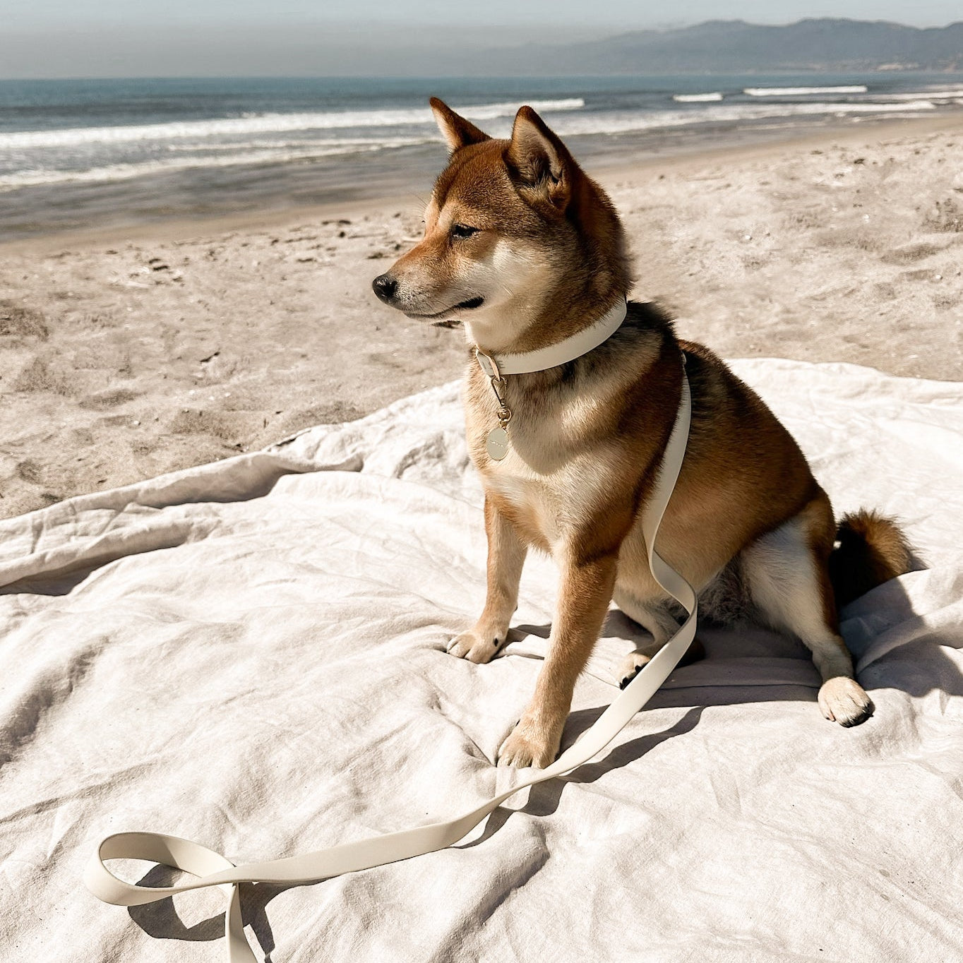 Elise Collar & Leash Set - Bone