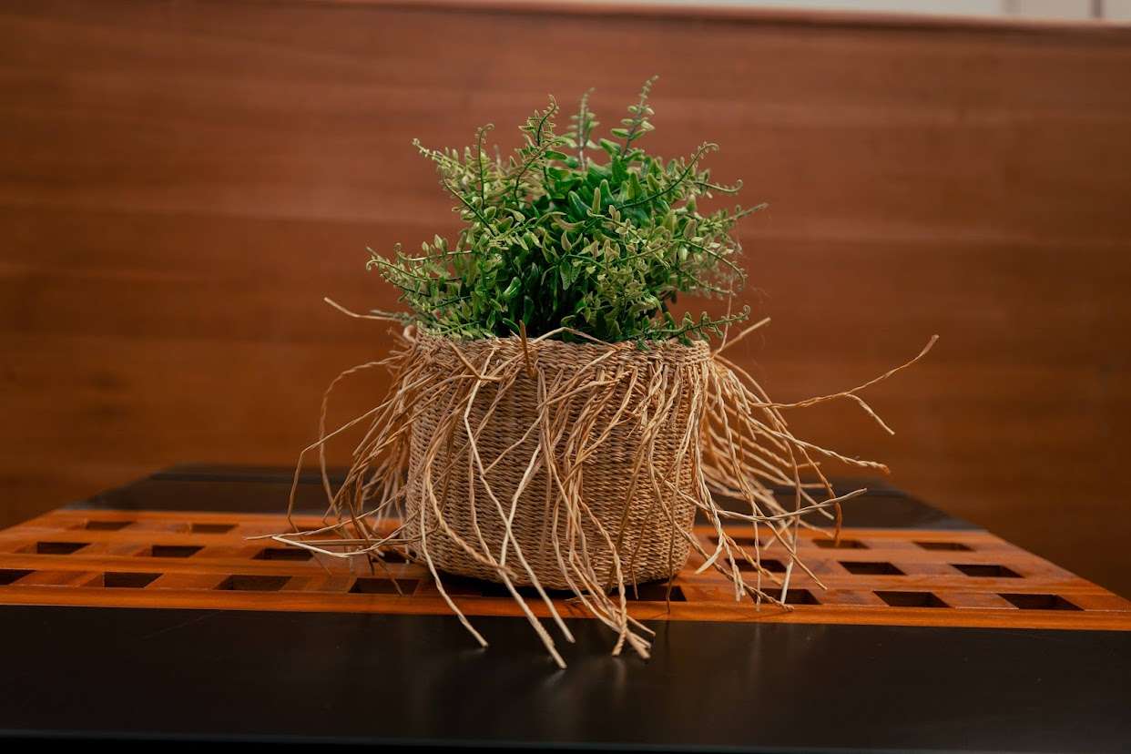 Ugaja woven planter