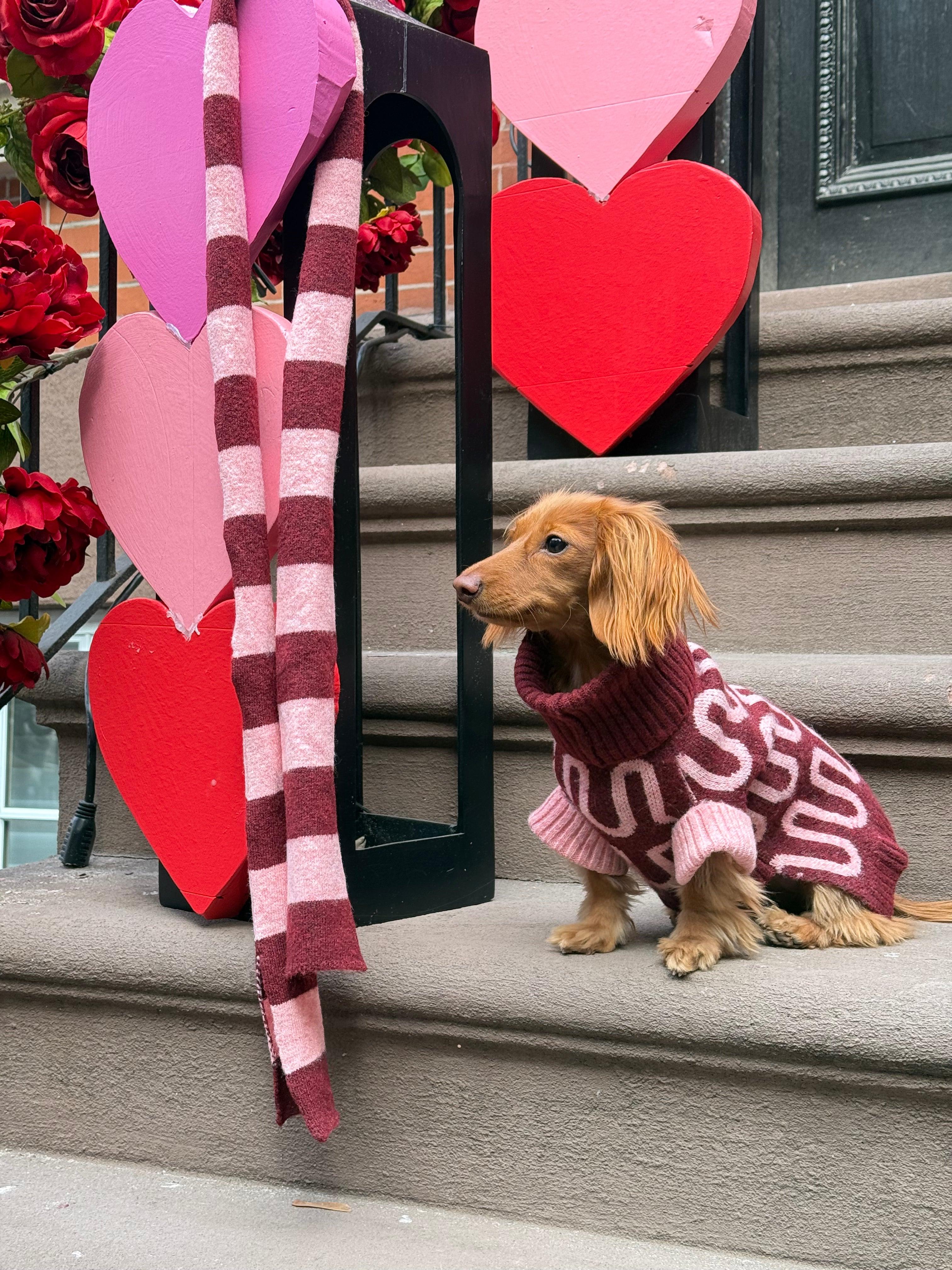 Rosé Bliss Sweater