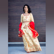 Party lehenga set