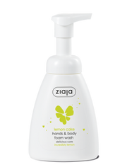 Lemon Cake - Hands & Body Foam Wash - Delicious Skin Care