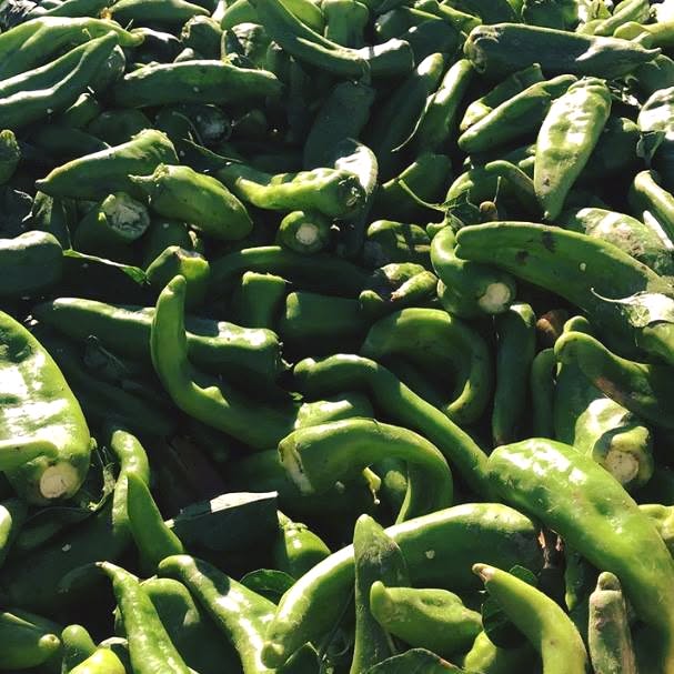 FRESH RED CHILE HARVEST OVER SEE YA IN 2026