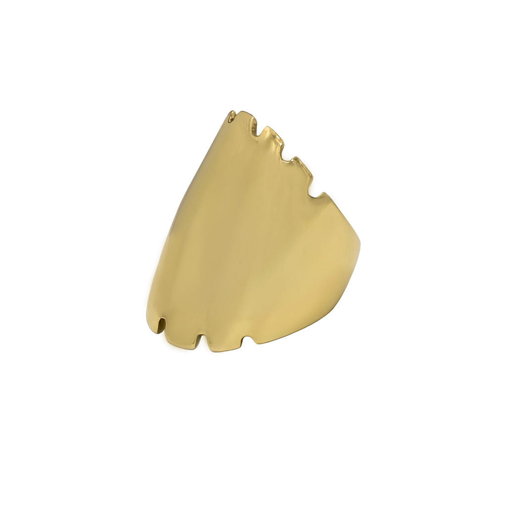 Nile Brass Wide Band Ring