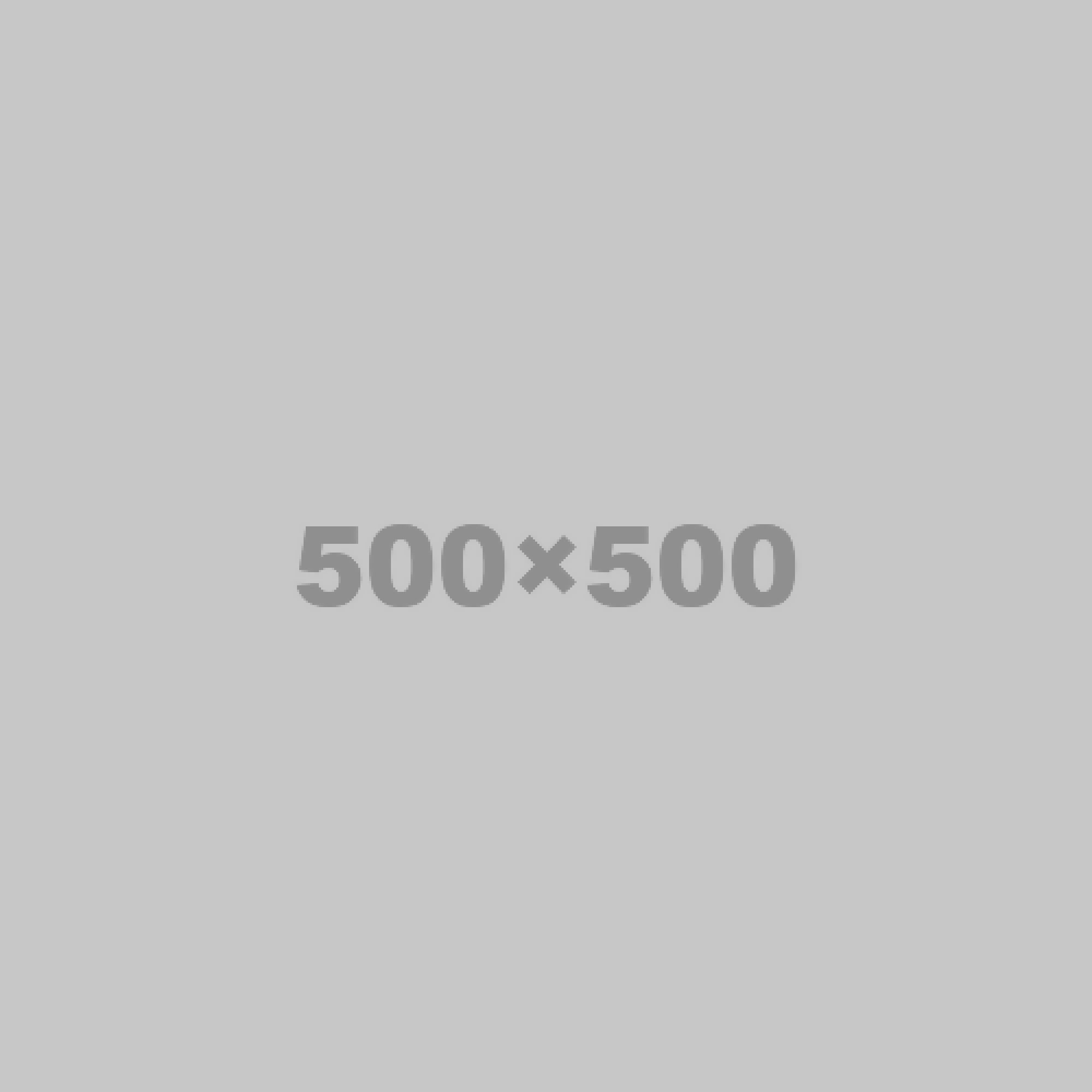 shopify auction