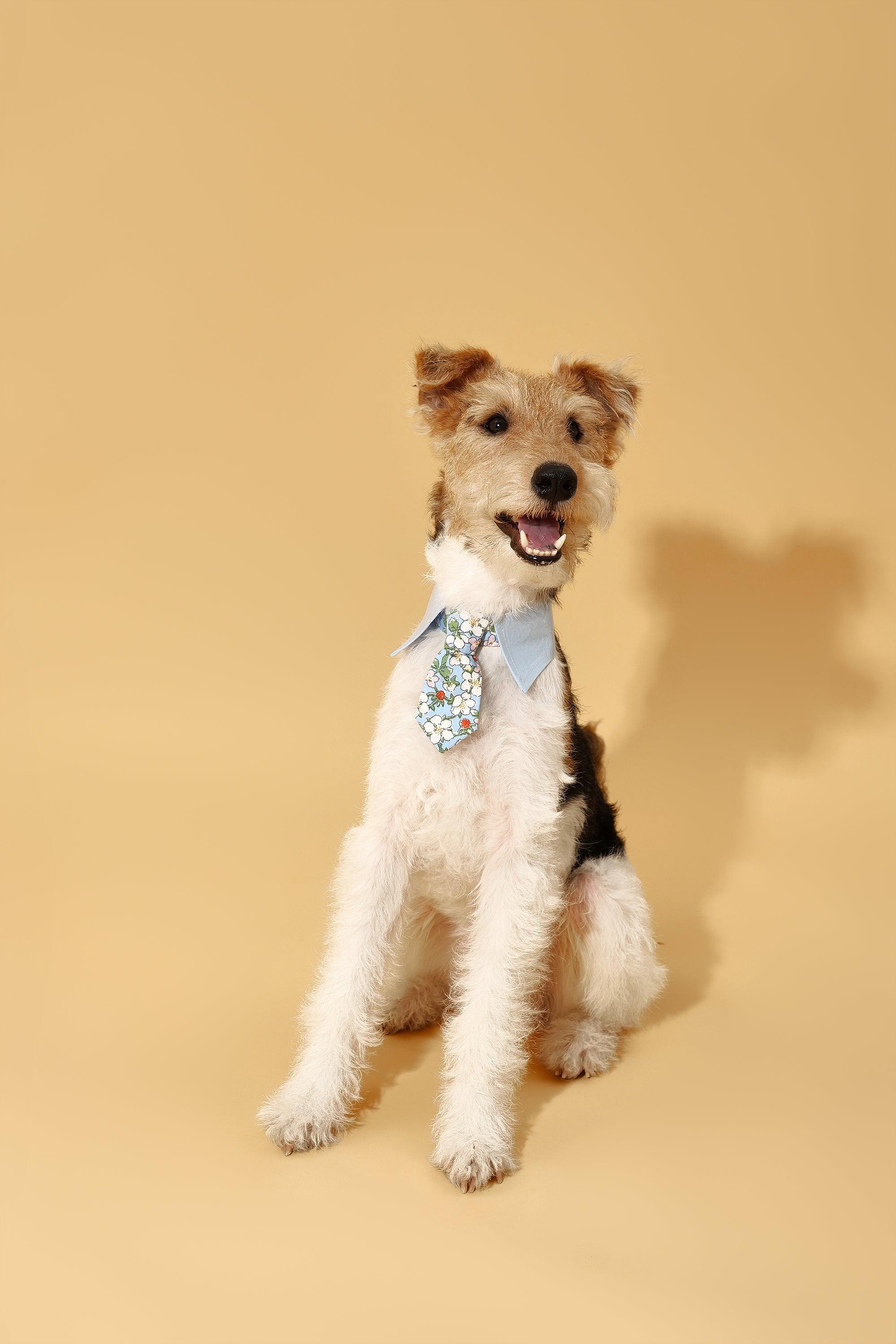 Blue Botanique Necktie Bandana