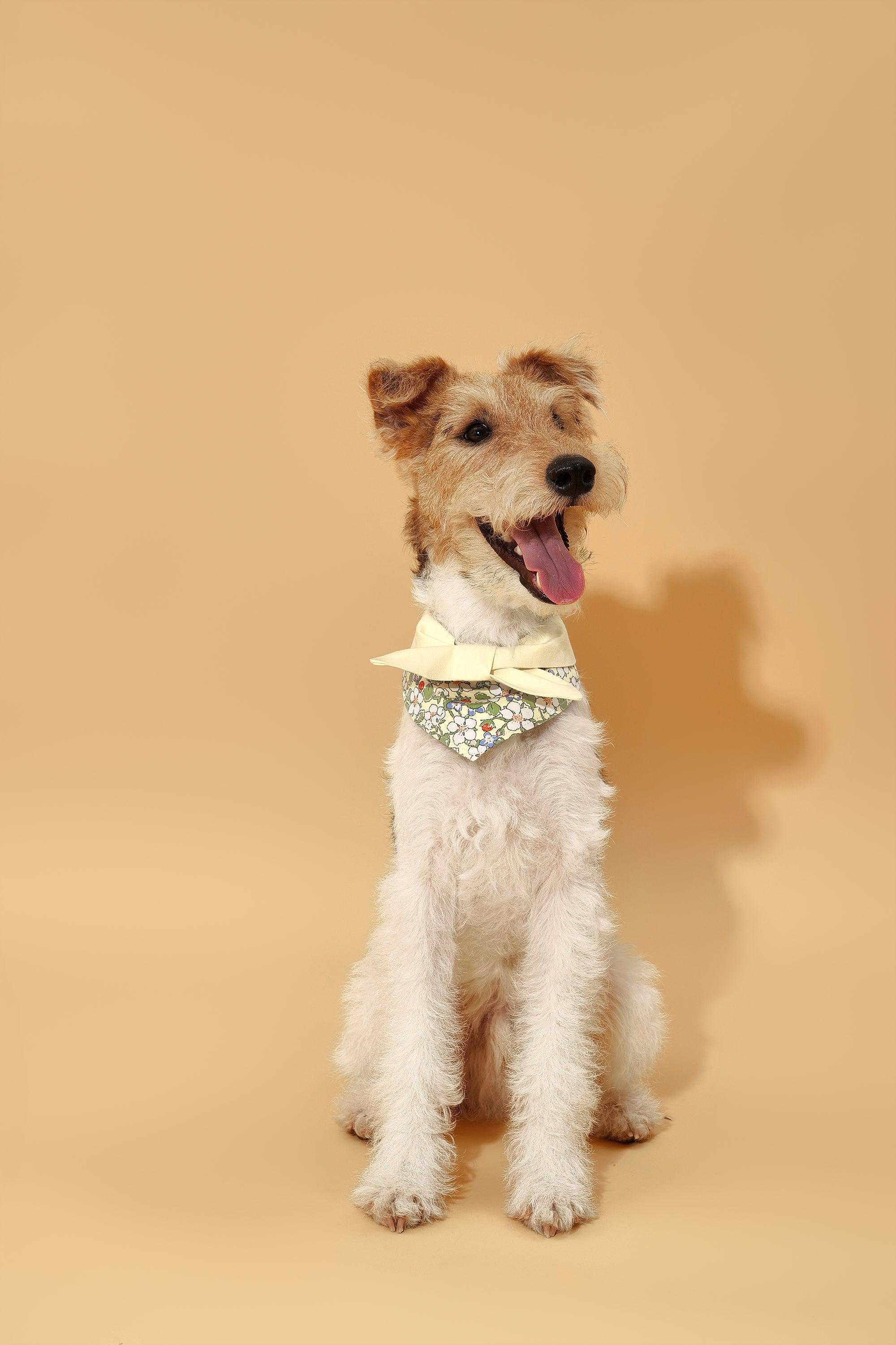 Bowtiful Garden Butter Yellow Floral Bandana