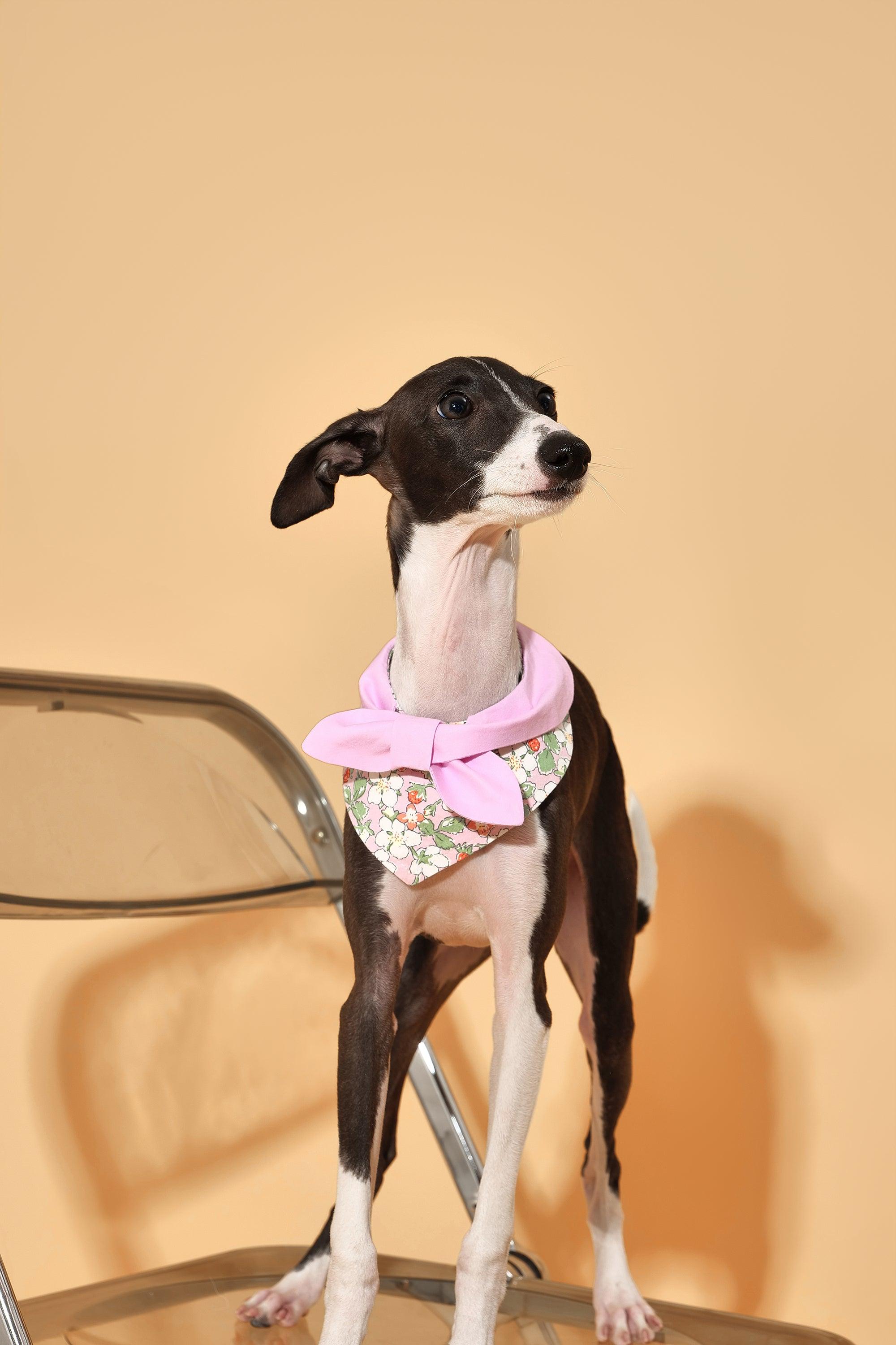 Bowtiful Garden Pink Floral Bandana