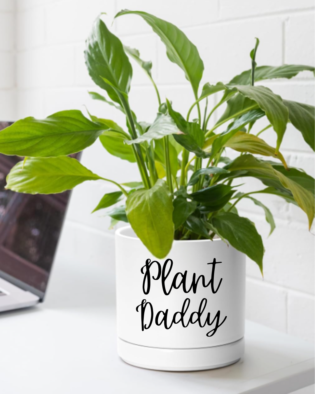 Plant Daddy Planter- White