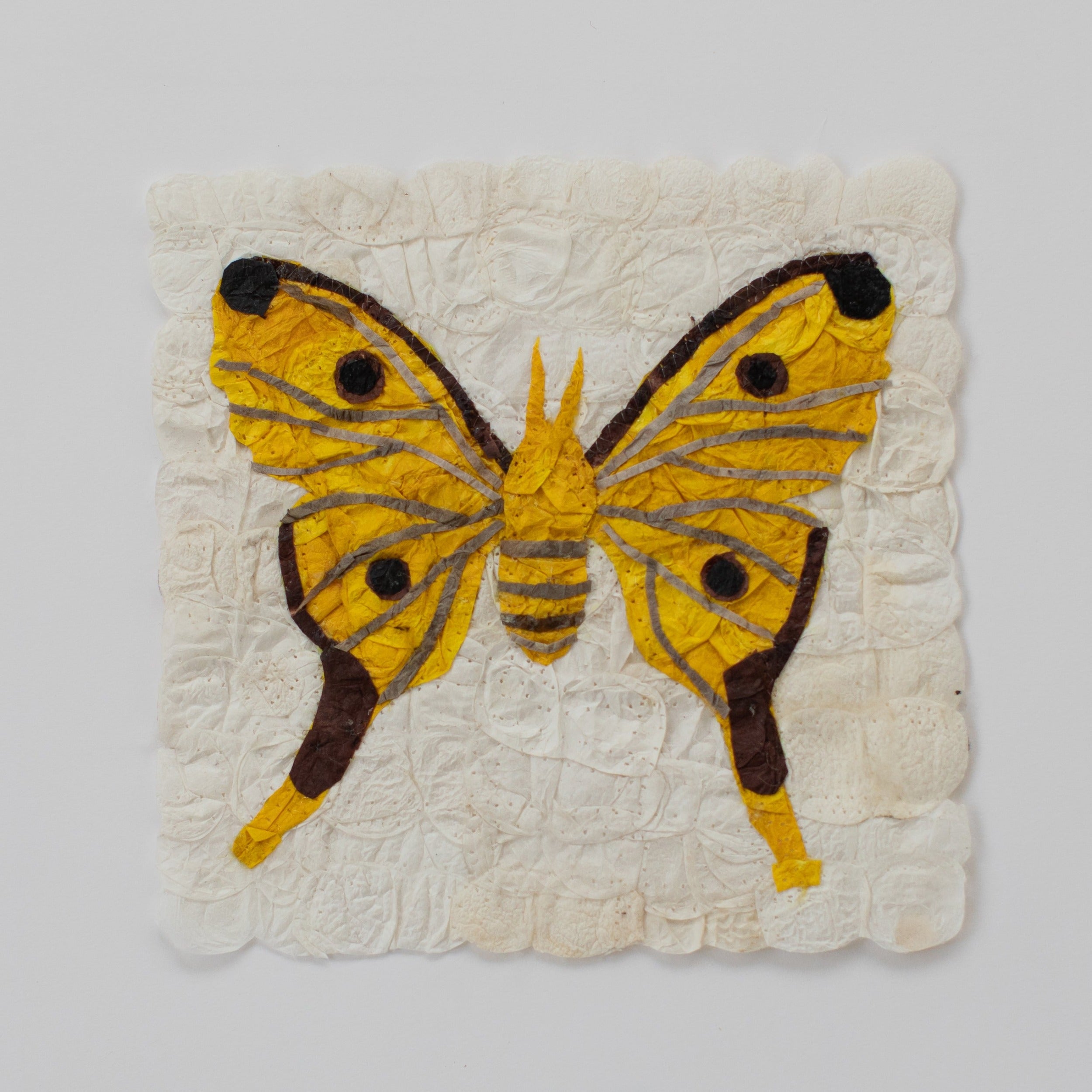 Mini Moth - Argema mittrei