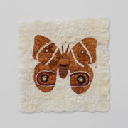 Mini Moth - Antherina suraka