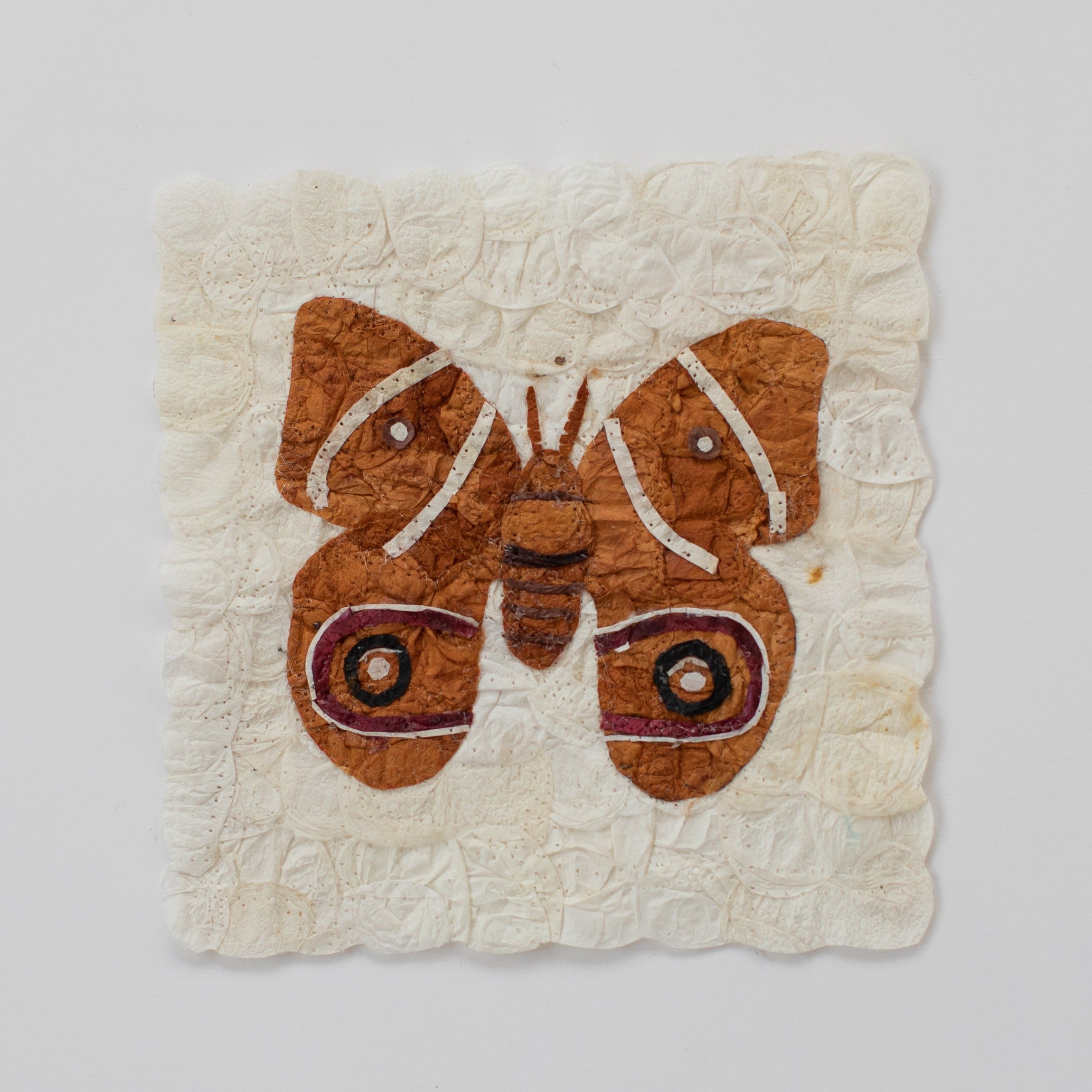 Mini Moth Set