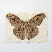 Wild Silk Moth Wall Art - Natural