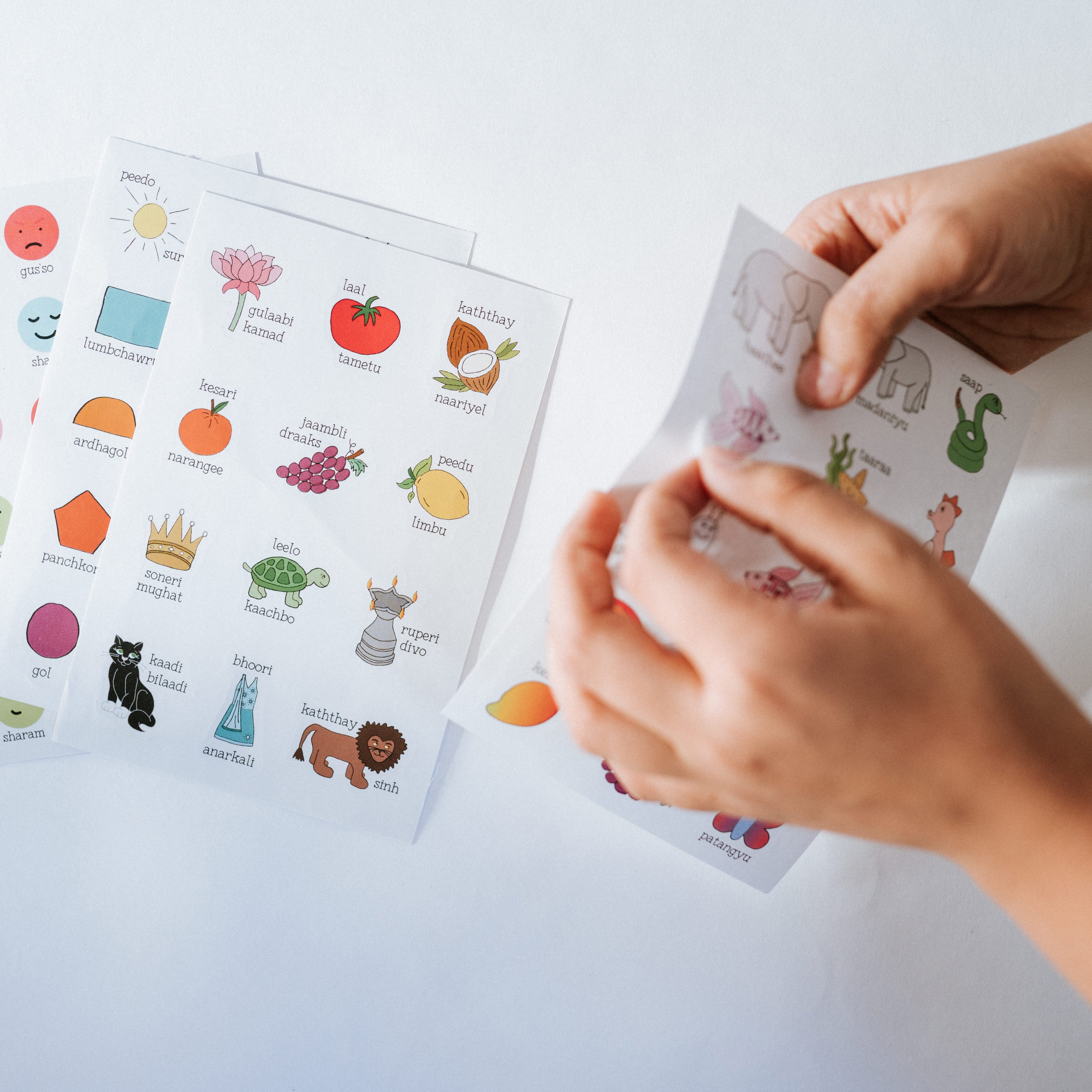 Bilingual Stickers & Activities • Gujarati | Hindi