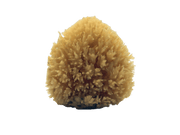 All-Natural Dead Sea Sponge